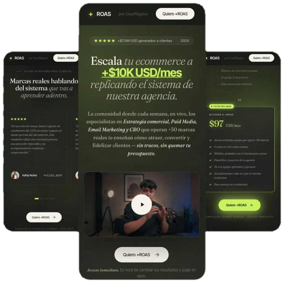 portfolio-roas
